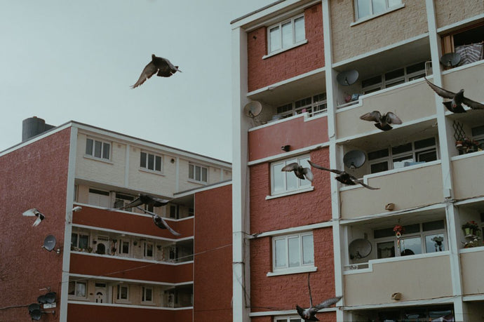 Pigeons fly over flats, central Dublin. From a series documenting County Dublin, Ireland.